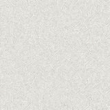 Winfield Thybony AUGUSTA POWDER Wallpaper