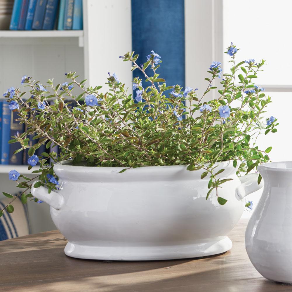 Napa White BRADFORD OVAL CACHEPOT