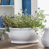 Napa White BRADFORD OVAL CACHEPOT