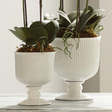 Napa White SINCLAIR FOOTED URN SMALL