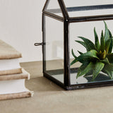 Napa Black COTTAGE TERRARIUM SMALL