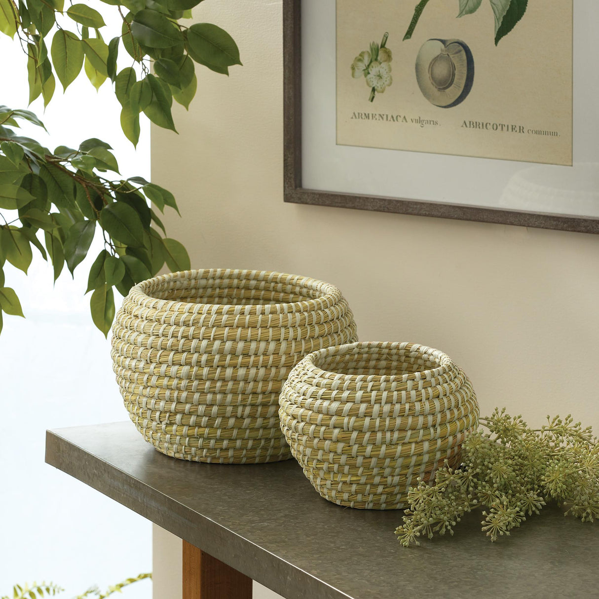 Napa White/Natural RIVERGRASS DECORATIVE FOOTED BOWLS, SET OF 2