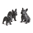 Napa Black THREE DOG NIGHT, SET OF 3