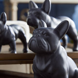 Napa Black THREE DOG NIGHT, SET OF 3
