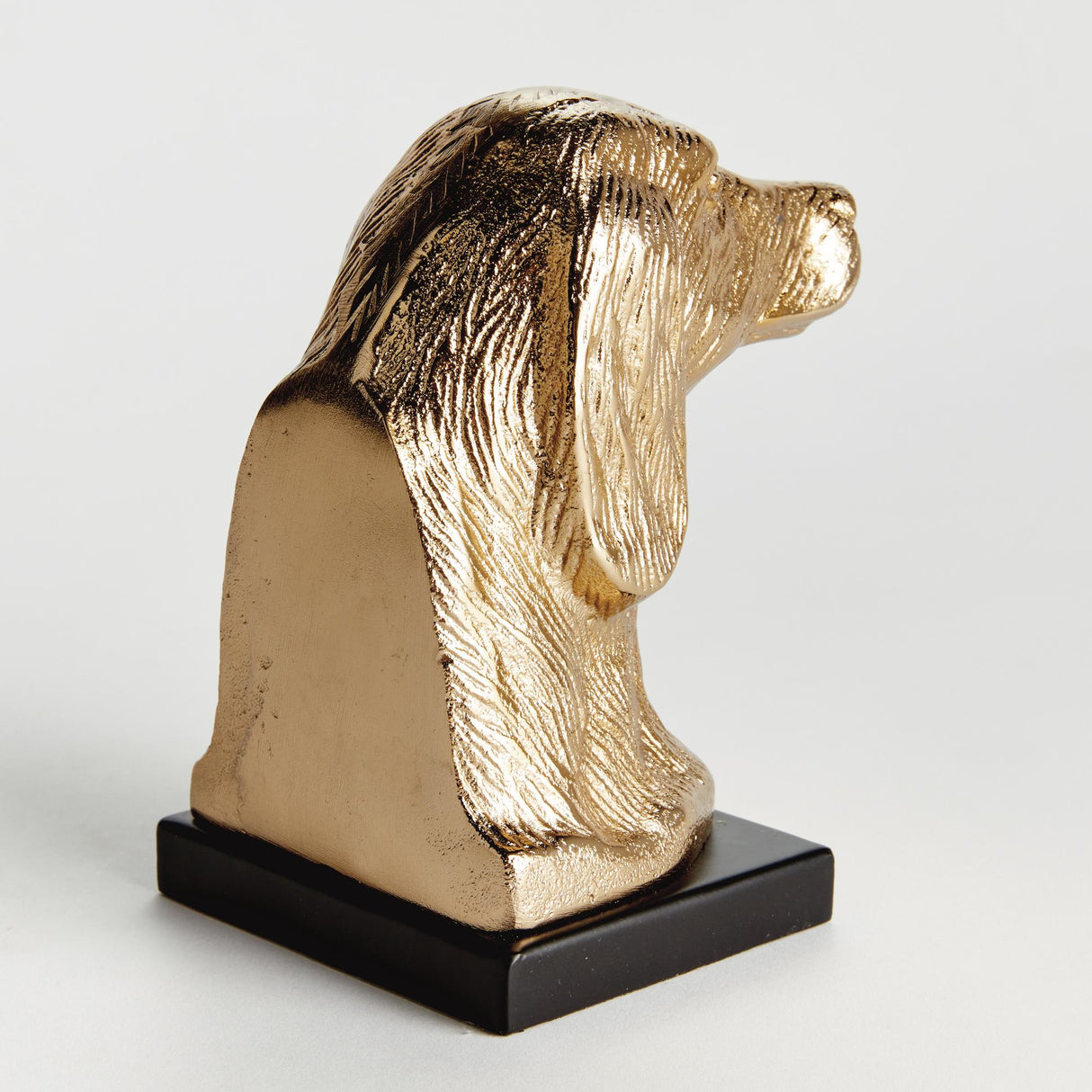 Napa Champagne Gold/black DISTINGUISHED DOG BUST SCULPTURE