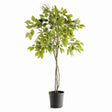 Napa Green FICUS TREE DROP-IN 51"