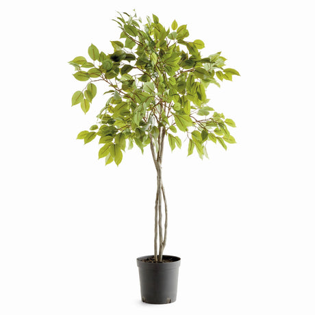 Napa Green FICUS TREE DROP-IN 51"