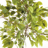 Napa Green FICUS TREE DROP-IN 51"