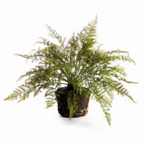 Napa Green SOFT FERN DROP-IN 18.5"