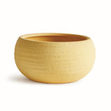 Napa Mustard ANDERSON DECORATIVE BOWL