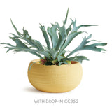 Napa Mustard ANDERSON DECORATIVE BOWL