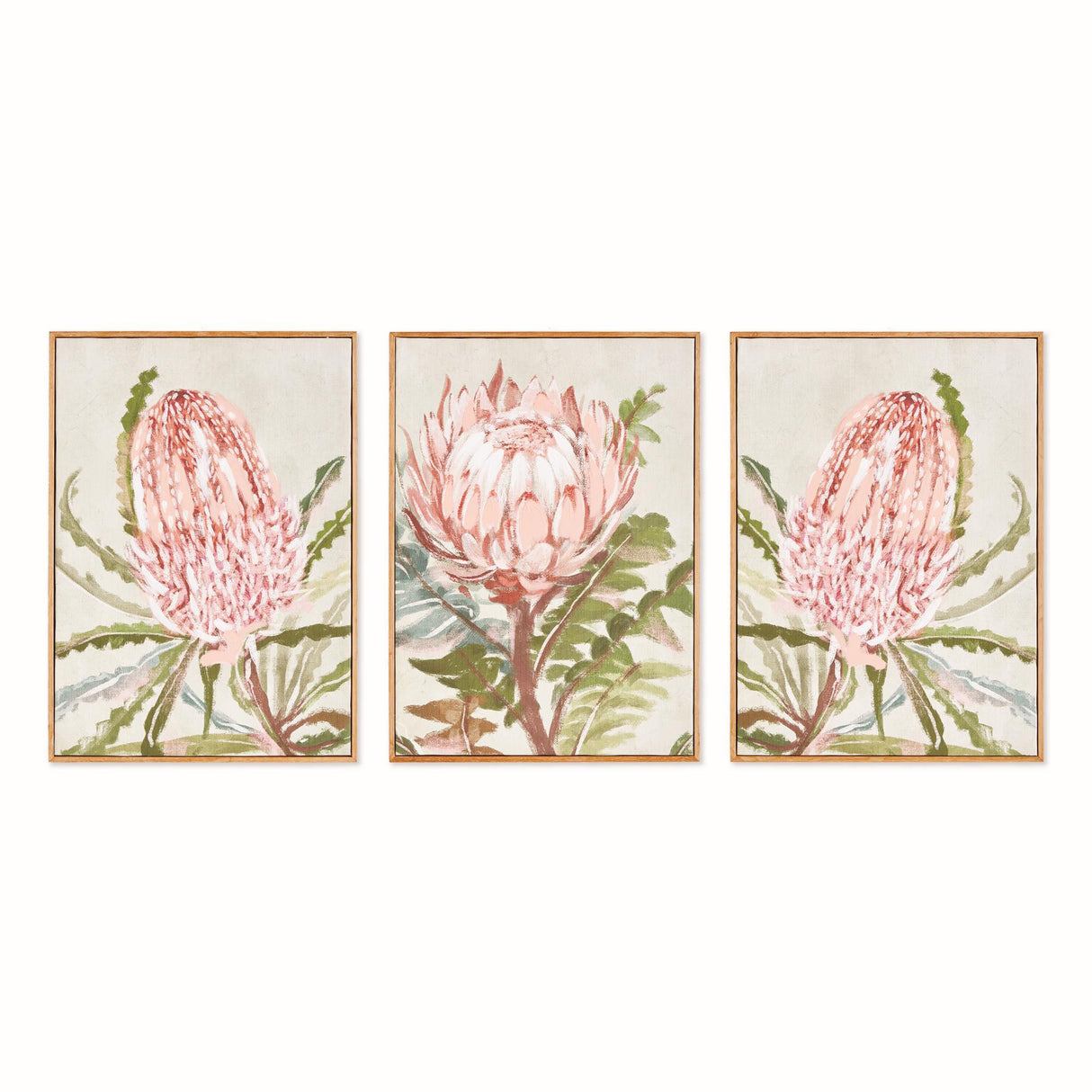 Napa Pink QUEEN PROTEA GICLEES, SET OF 3