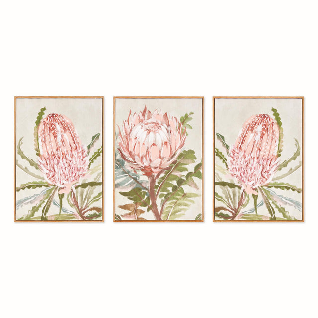 Napa Pink QUEEN PROTEA GICLEES, SET OF 3
