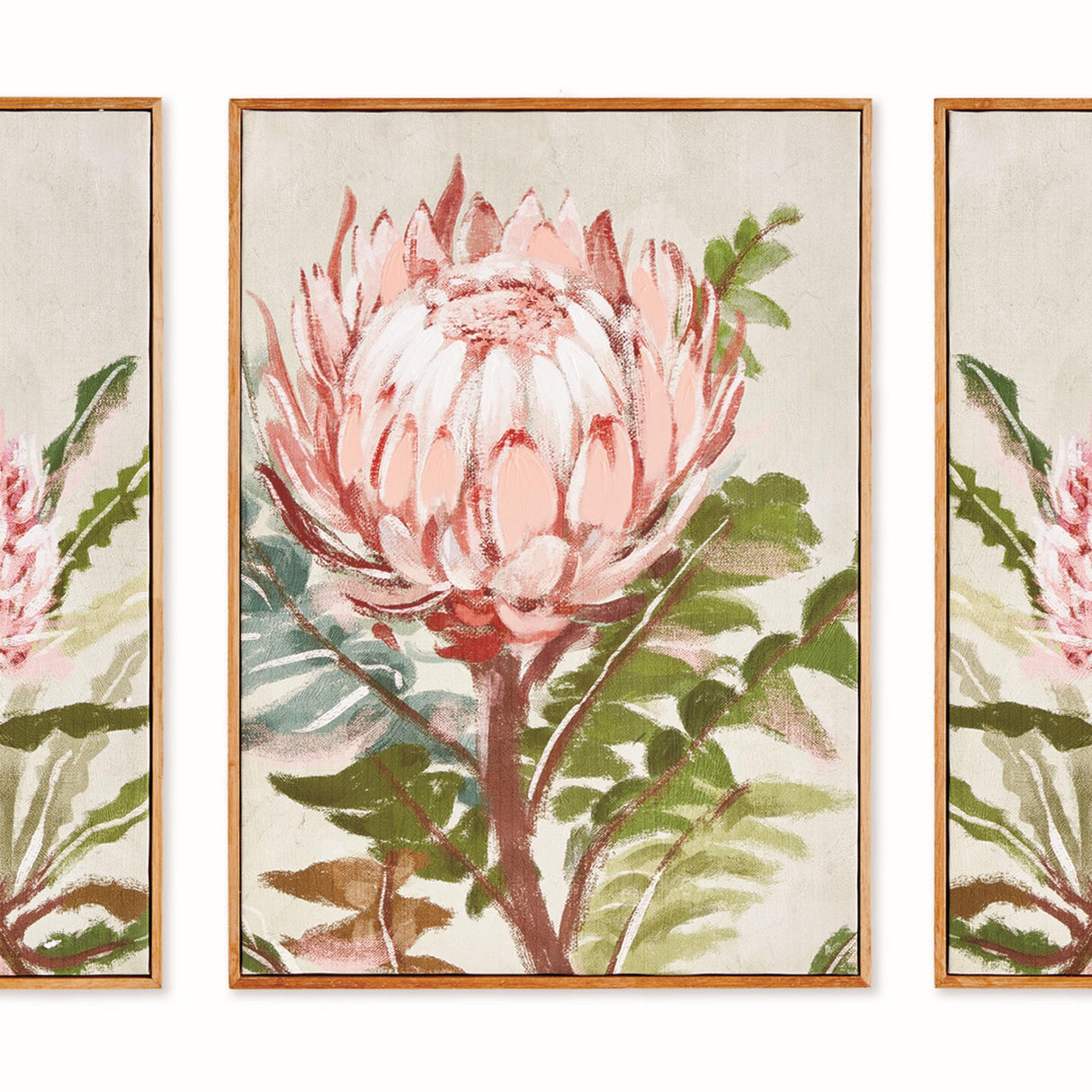 Napa Pink QUEEN PROTEA GICLEES, SET OF 3