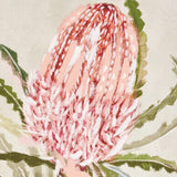 Napa Pink QUEEN PROTEA GICLEES, SET OF 3