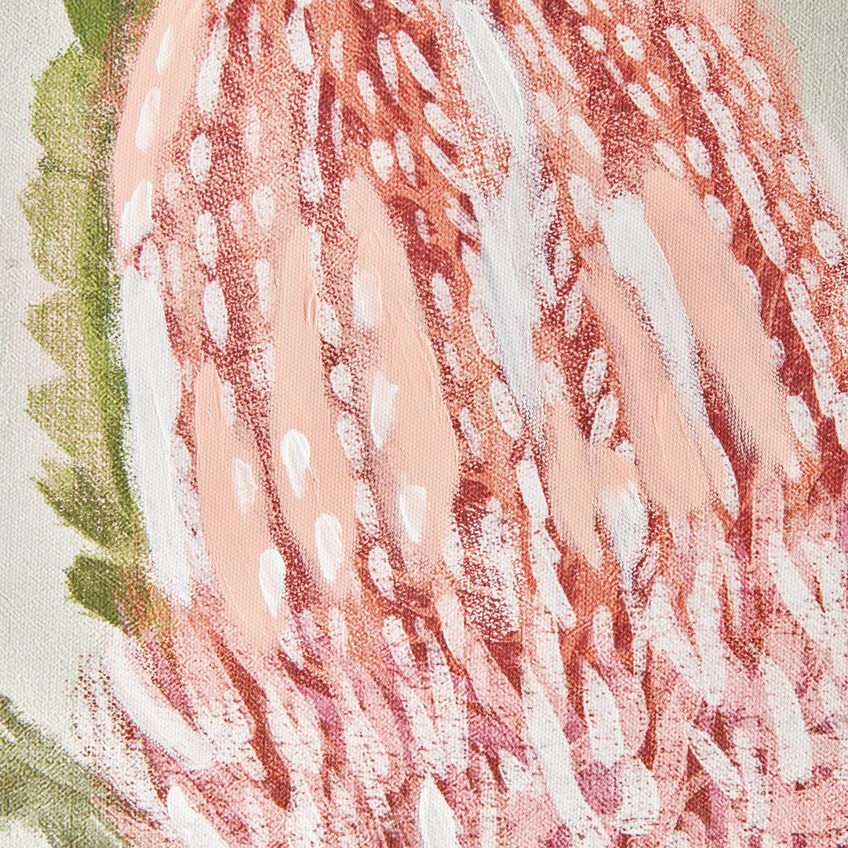 Napa Pink QUEEN PROTEA GICLEES, SET OF 3