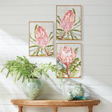 Napa Pink QUEEN PROTEA GICLEES, SET OF 3