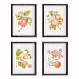 Napa Pink/orange AUTUMNAL FRUIT PRINTS, SET OF 4