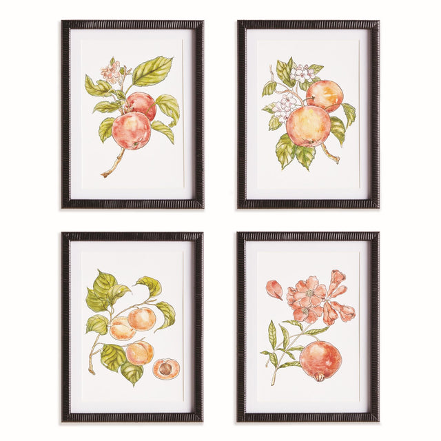 Napa Pink/orange AUTUMNAL FRUIT PRINTS, SET OF 4