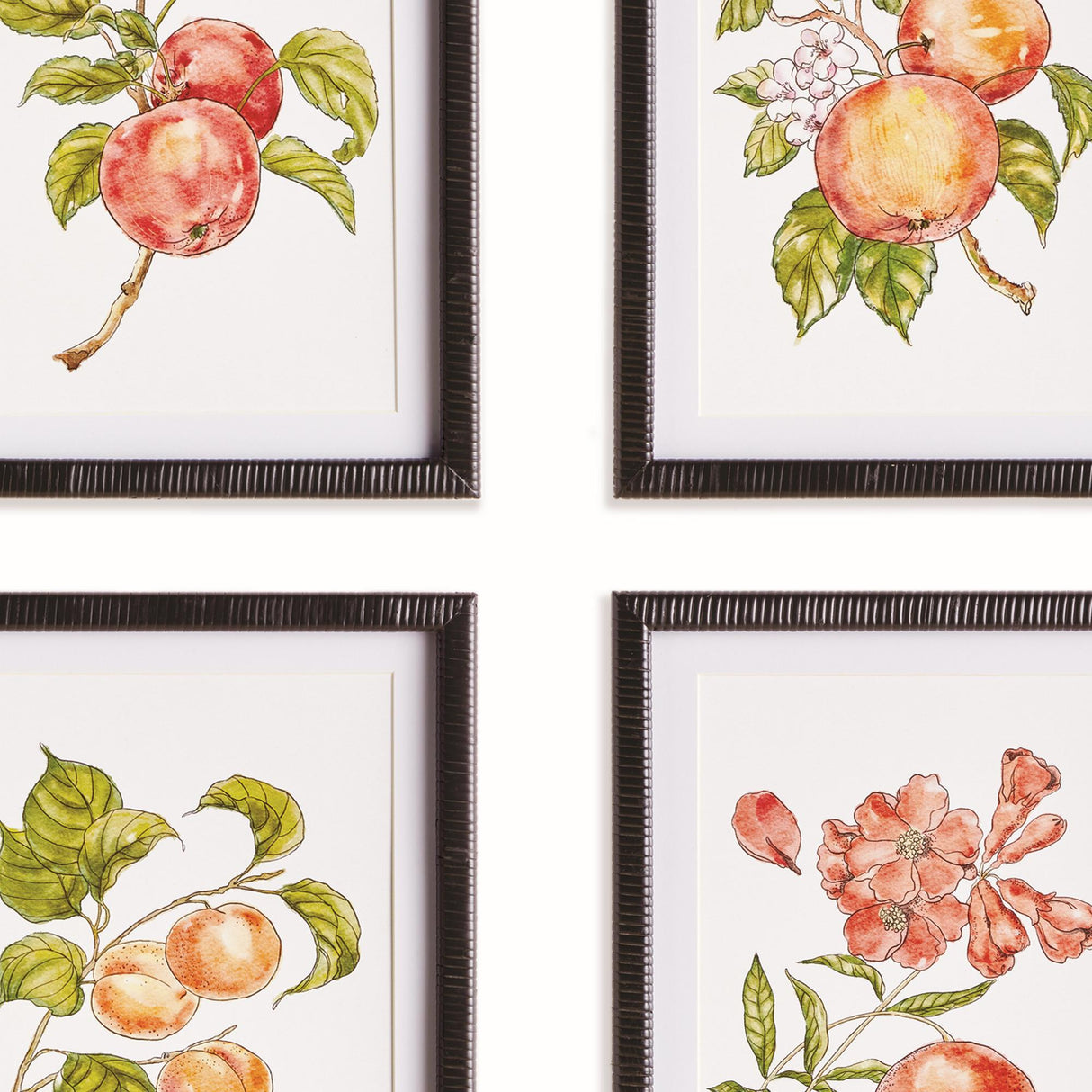 Napa Pink/orange AUTUMNAL FRUIT PRINTS, SET OF 4