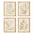 Napa Green COASTAL GREENERY PRINTS, SET OF 4