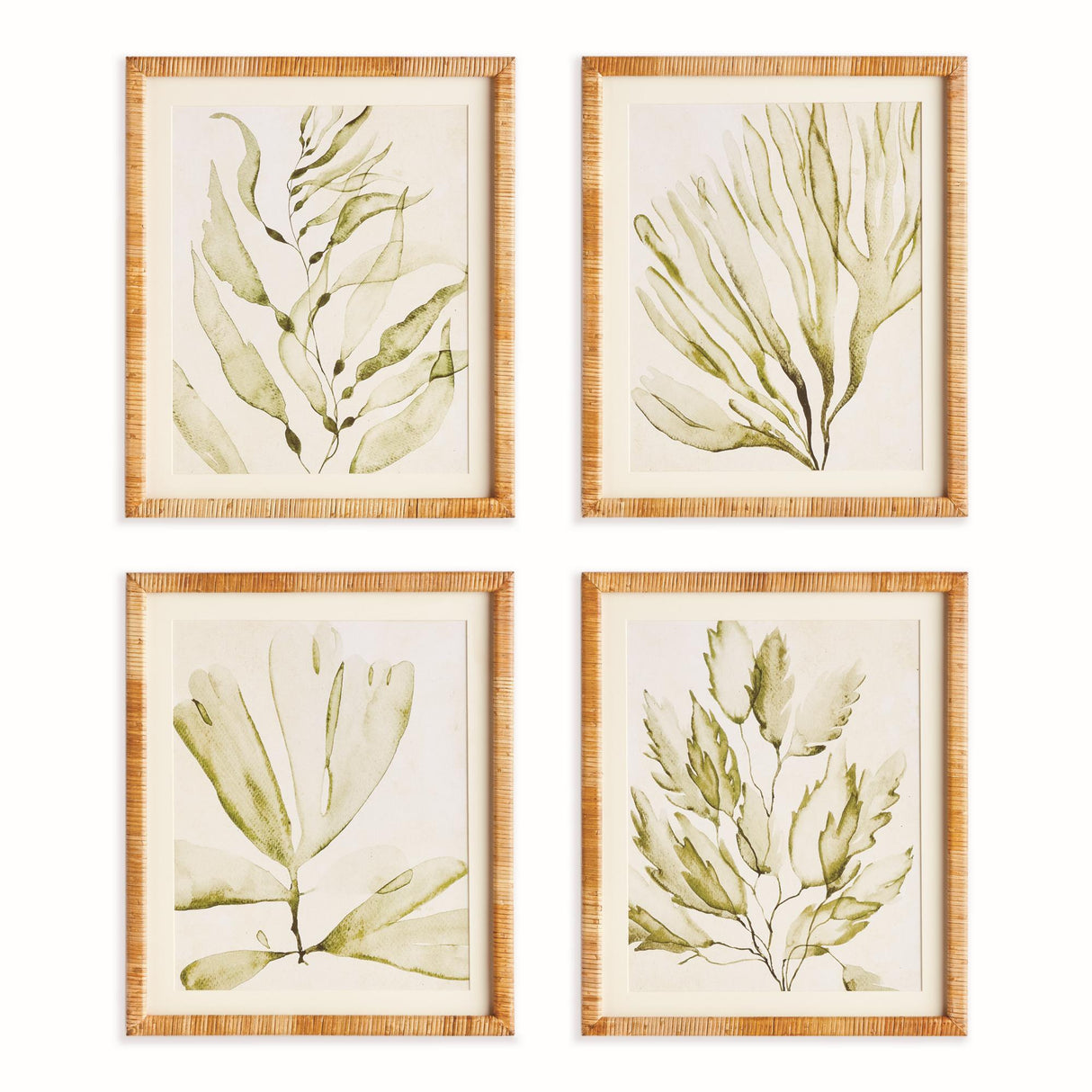 Napa Green COASTAL GREENERY PRINTS, SET OF 4
