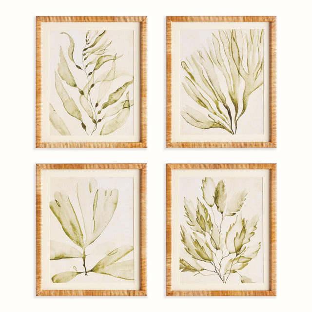 Napa Green COASTAL GREENERY PRINTS, SET OF 4