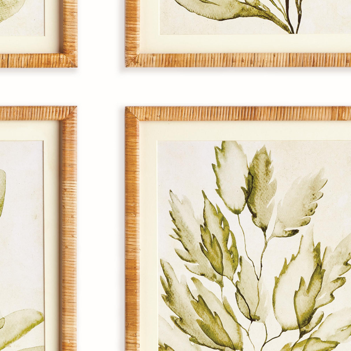 Napa Green COASTAL GREENERY PRINTS, SET OF 4