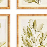Napa Green COASTAL GREENERY PRINTS, SET OF 4