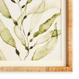 Napa Green COASTAL GREENERY PRINTS, SET OF 4