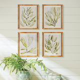 Napa Green COASTAL GREENERY PRINTS, SET OF 4