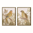 Napa Brown/green TROPICAL PARROT PRINTS, SET OF 2