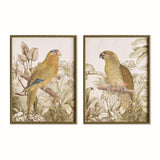 Napa Brown/green TROPICAL PARROT PRINTS, SET OF 2