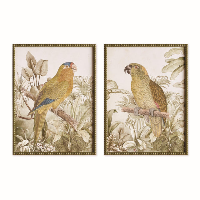 Napa Brown/green TROPICAL PARROT PRINTS, SET OF 2
