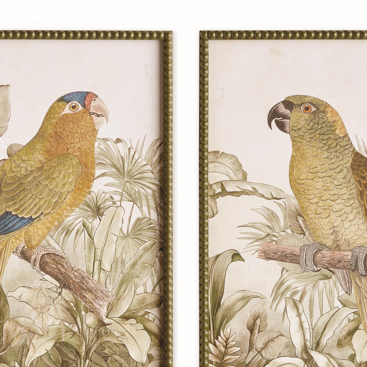 Napa Brown/green TROPICAL PARROT PRINTS, SET OF 2