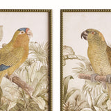 Napa Brown/green TROPICAL PARROT PRINTS, SET OF 2