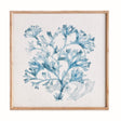 Napa Blue TRANSLUCENT CORAL PRINT
