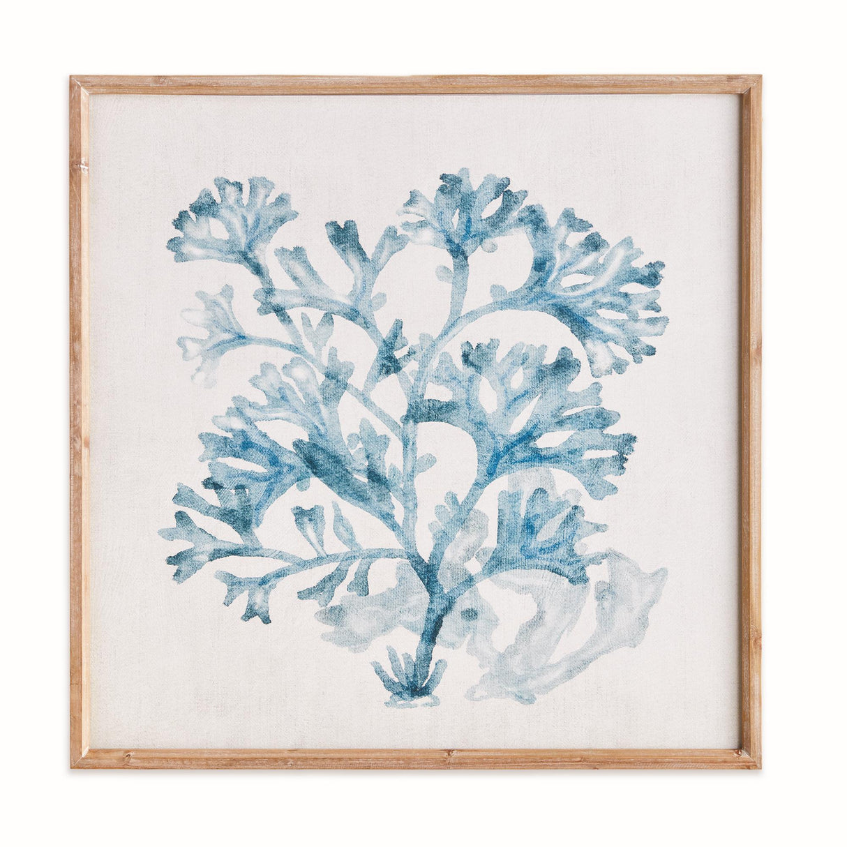 Napa Blue TRANSLUCENT CORAL PRINT