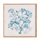 Napa Blue TRANSLUCENT CORAL PRINT