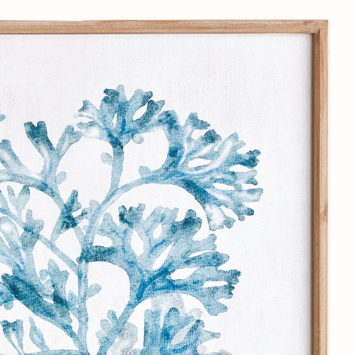 Napa Blue TRANSLUCENT CORAL PRINT