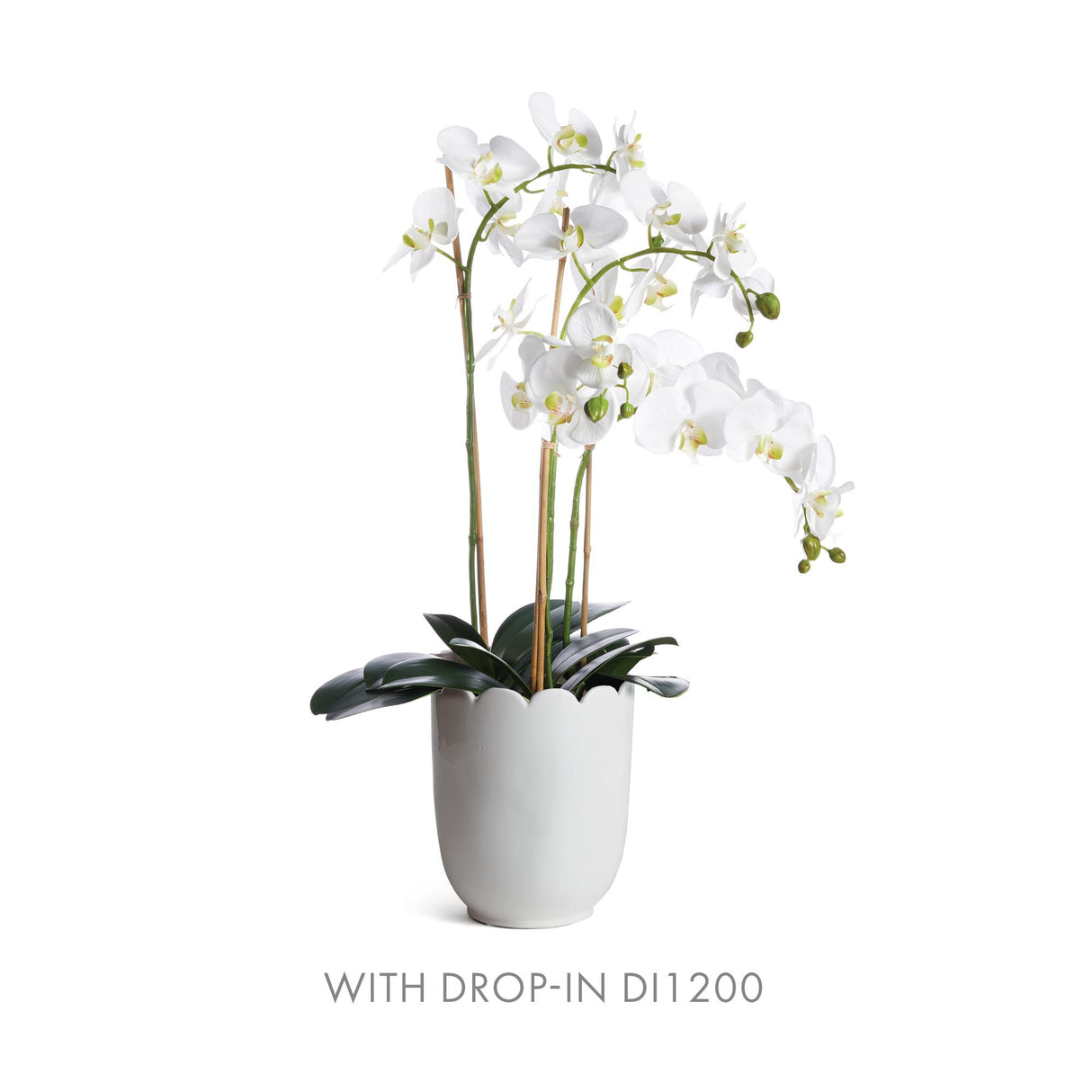 Napa Classic White MIRABELLE SCALLOPED EDGE CACHEPOT