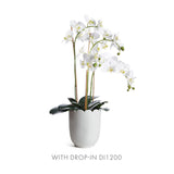 Napa Classic White MIRABELLE SCALLOPED EDGE CACHEPOT