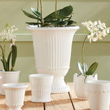 Napa Classic White MIRABELLE BEADED VASE