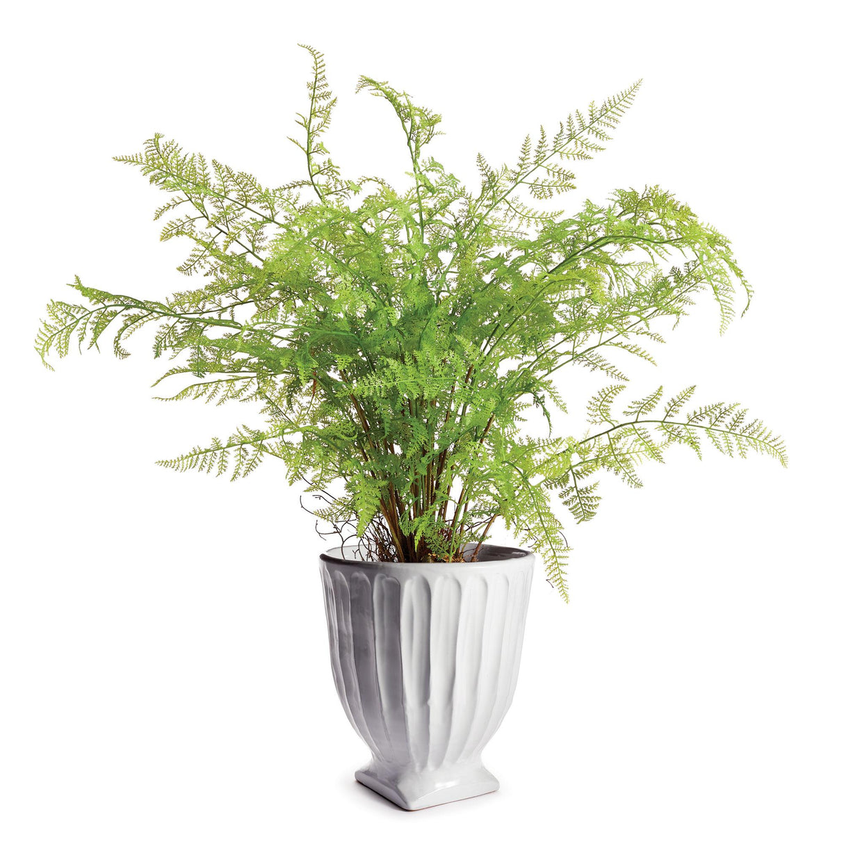 Napa White COLUMN FOOTED URN 13"