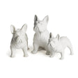 Napa White THREE DOG NIGHT, SET OF 3