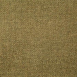 Pindler DALE MOSS Fabric