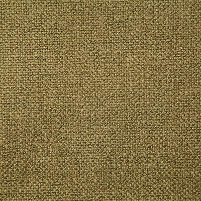 Pindler DALE MOSS Fabric
