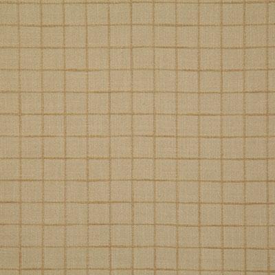 Pindler NELSON FAWN Fabric