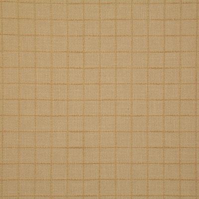 Pindler NELSON HONEY Fabric