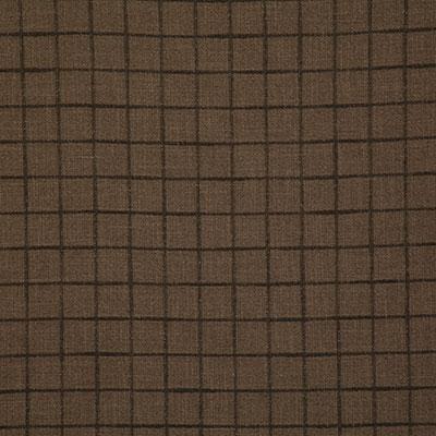 Pindler NELSON COCOA Fabric